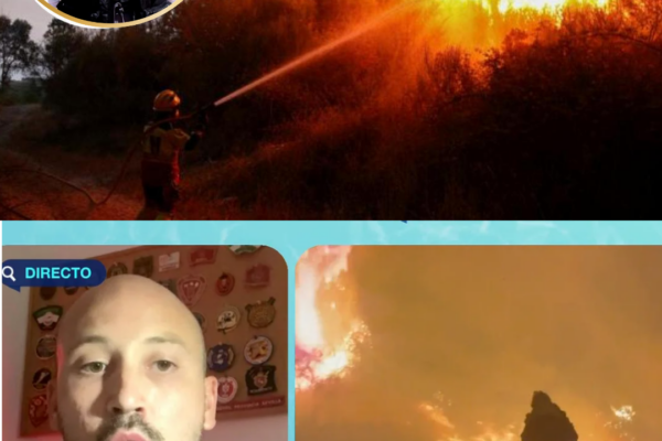 “No sé hasta qué punto es esto necesario”. La respuesta de un bombero ...