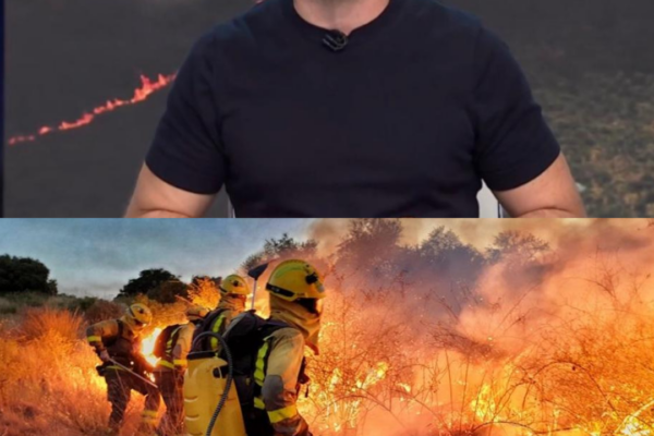 Gonzalo Miró rompió el silencio sobre la gestión del incendio y lanzó ...
